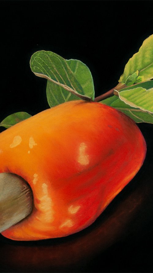 Cashew Fruit by Dietrich Moravec
