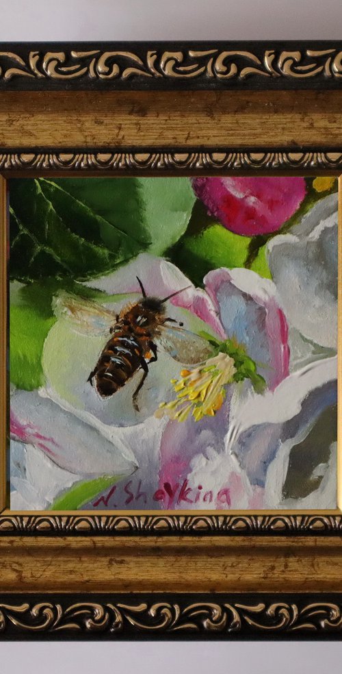 Honey Bee by Natalia Shaykina