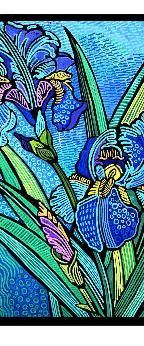 Iris by Laurel Macdonald