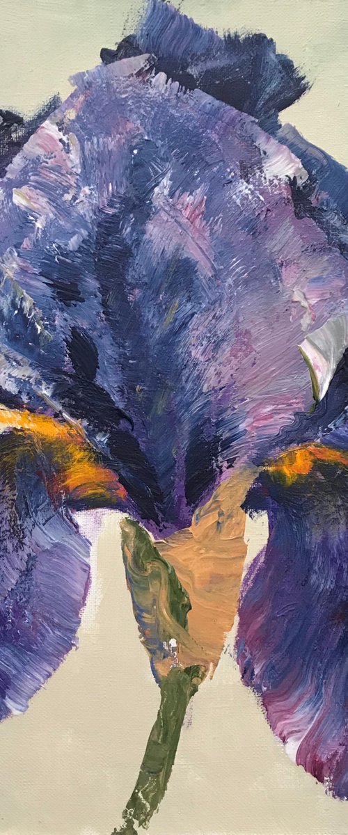 DARK BLUE IRIS by Oksana Petrova