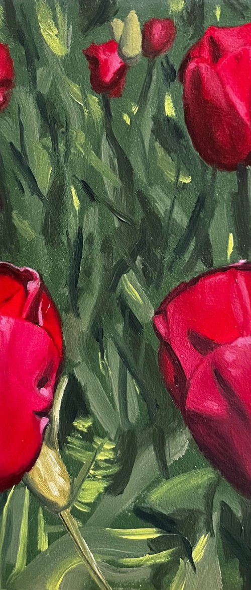 Hyperrealistic Red Tulips on Gesso Board by Angelo Di Carlo