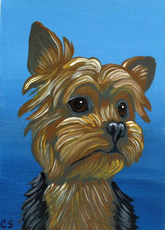 ACEO ATC Original Miniature Painting Yorkshire Terrier Pet Dog Art-Carla Smale