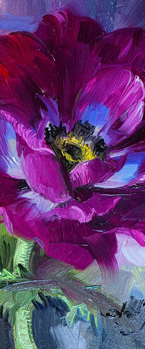 Purple anemone by Nataly Derevyanko