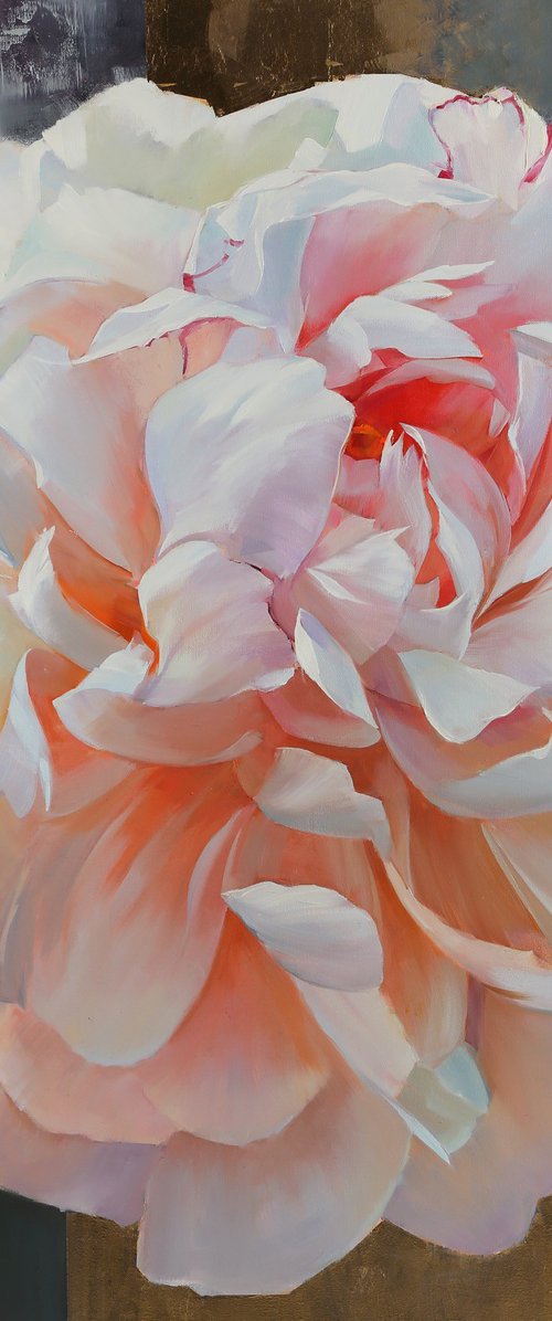 Rosa ancora by Tetiana Bond