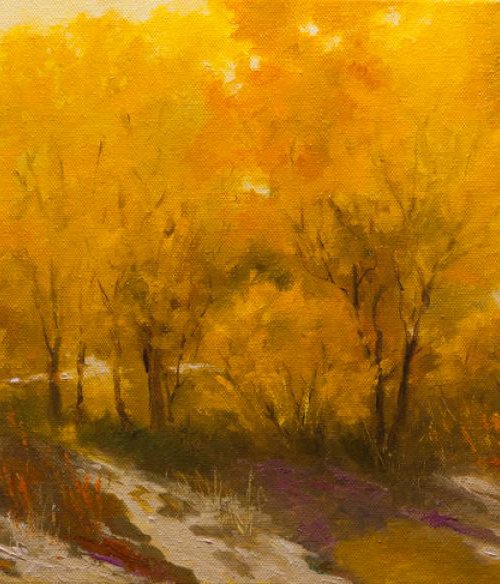 Autumn Colours by Dan Twitchell, OPA, AIS