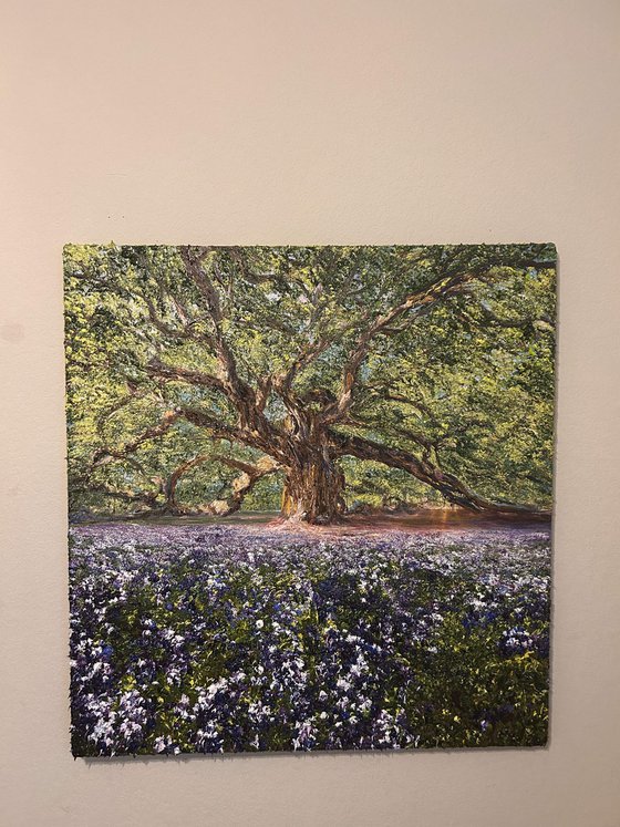 Sunlit Dreams Bluebonnets