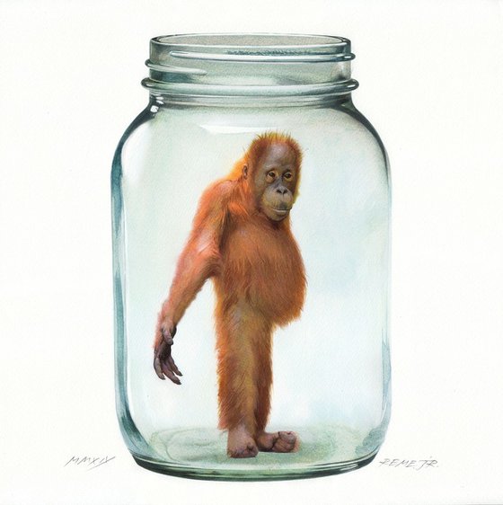 Monkey in Jar