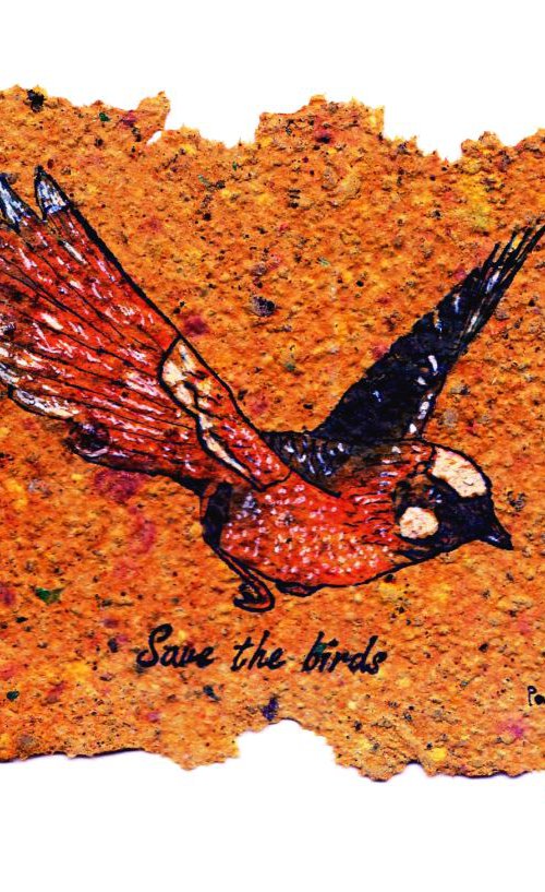 Save the birds by Pavel Kuragin