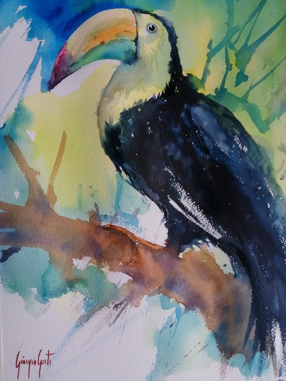 toucan 4