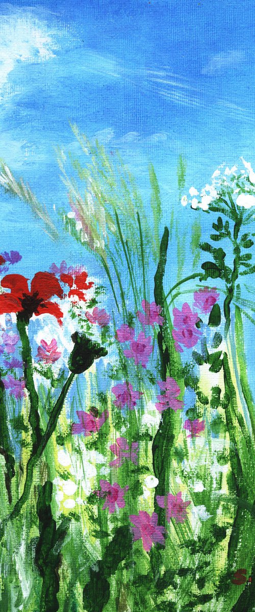 wild flowers and grasses by Sandra Fisher