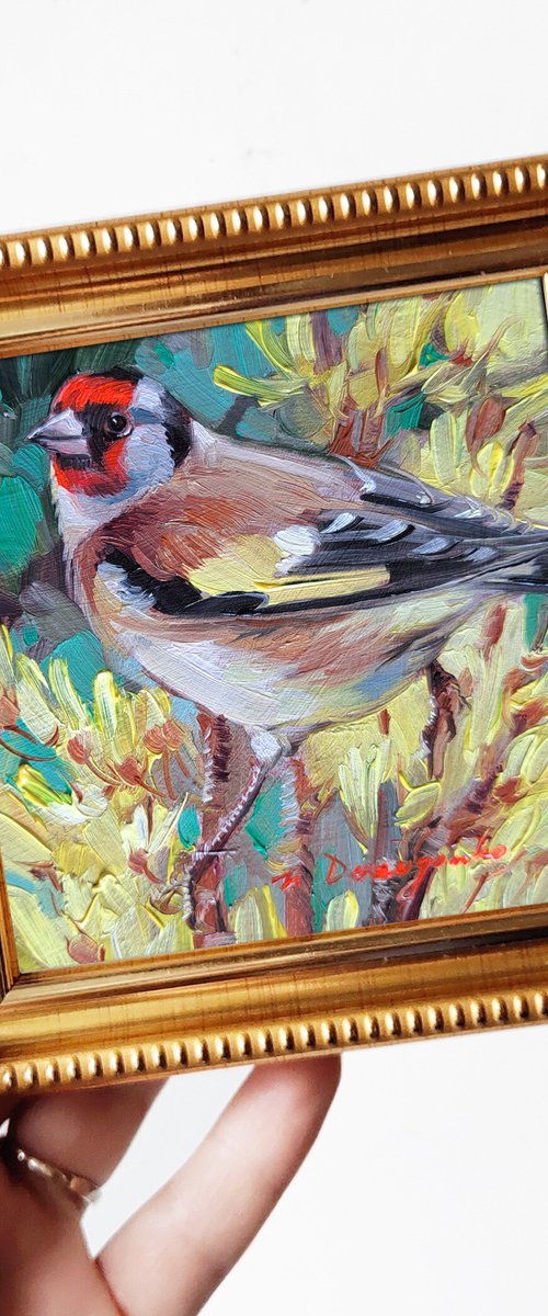 Goldfinch bird by Nataly Derevyanko