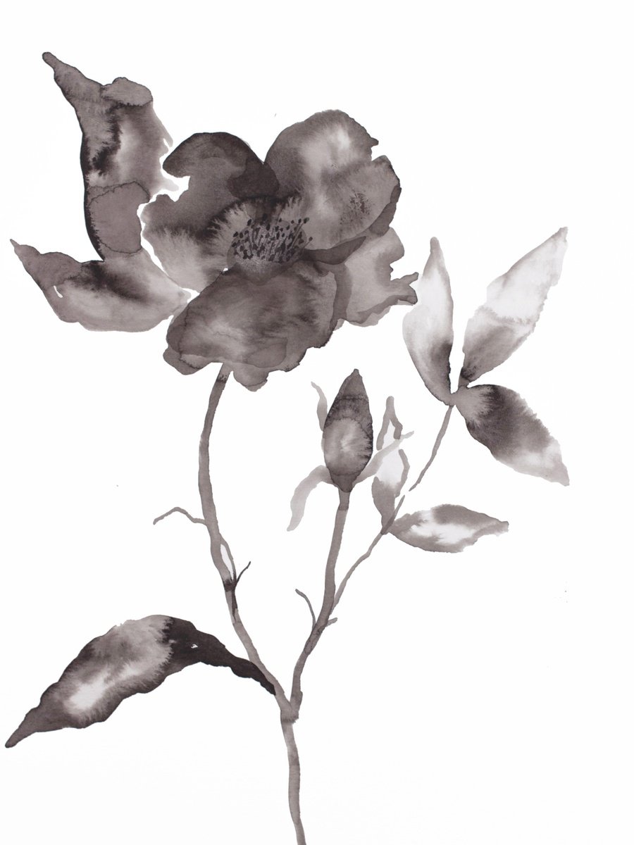 Wild Rose No. 10 by Elizabeth Becker
