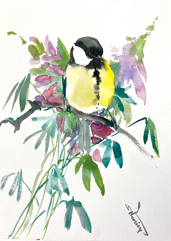 Great Tit