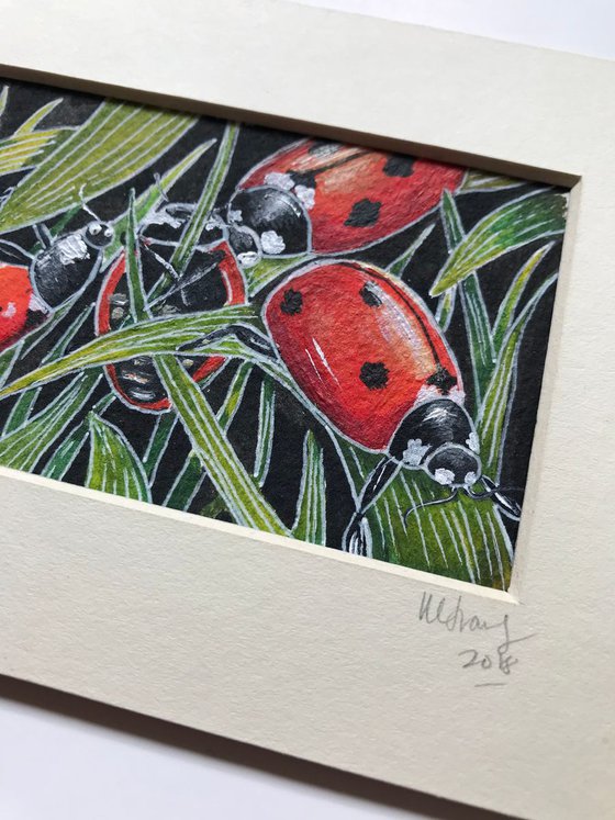 A loveliness of ladybirds 2