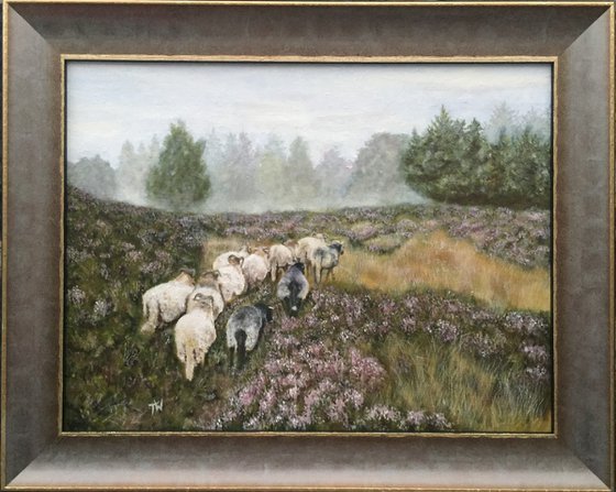 Yorkshire Landscape with sheep