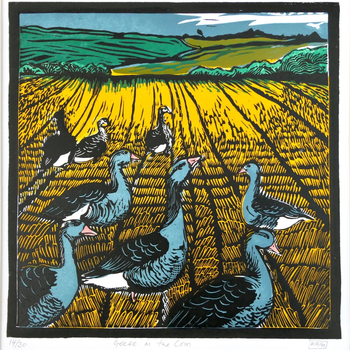 Geese in the Corn by Keith Alexander