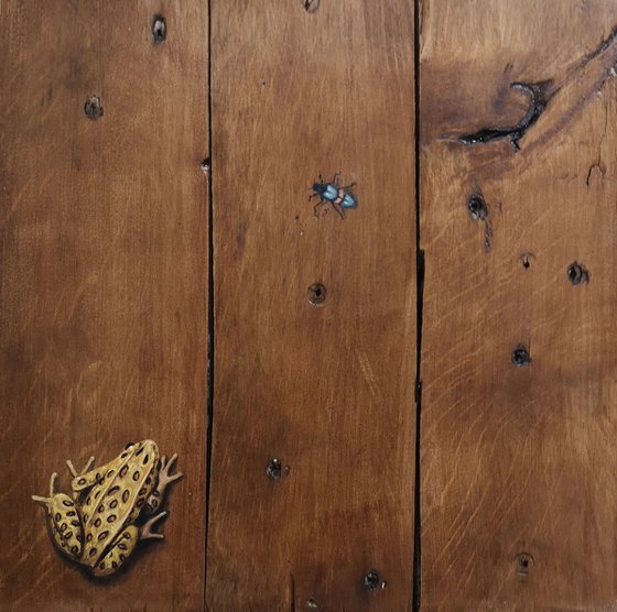 Frog and beetle on recycled wood