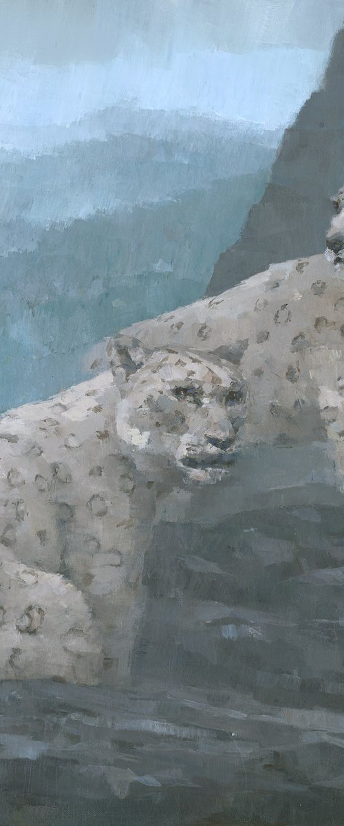 Realm of the Snow Leopards by Steve Mitchell