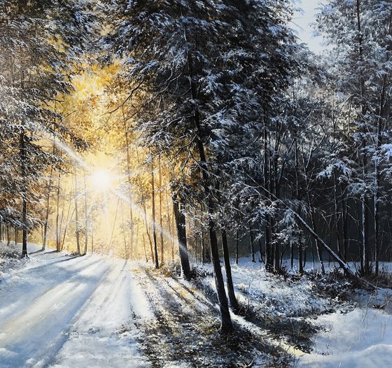 Snow-Covered Path the Pines