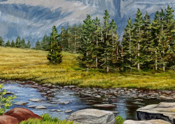 Alpine Pond and Meadow