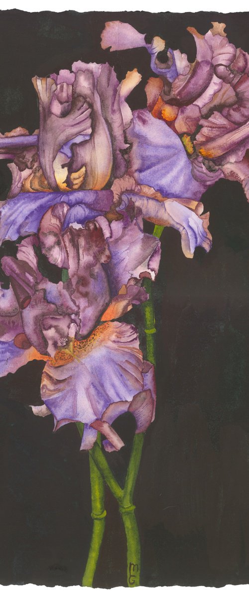 Bagatelle by Mary Lyn Gough