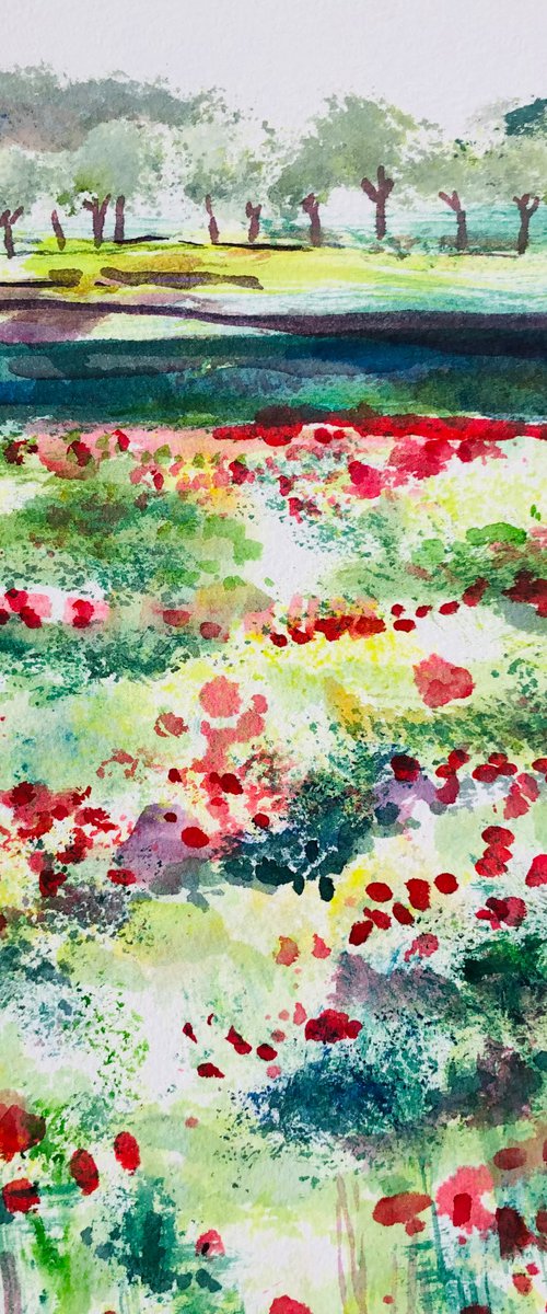 The Poppy Field by Annie Meier