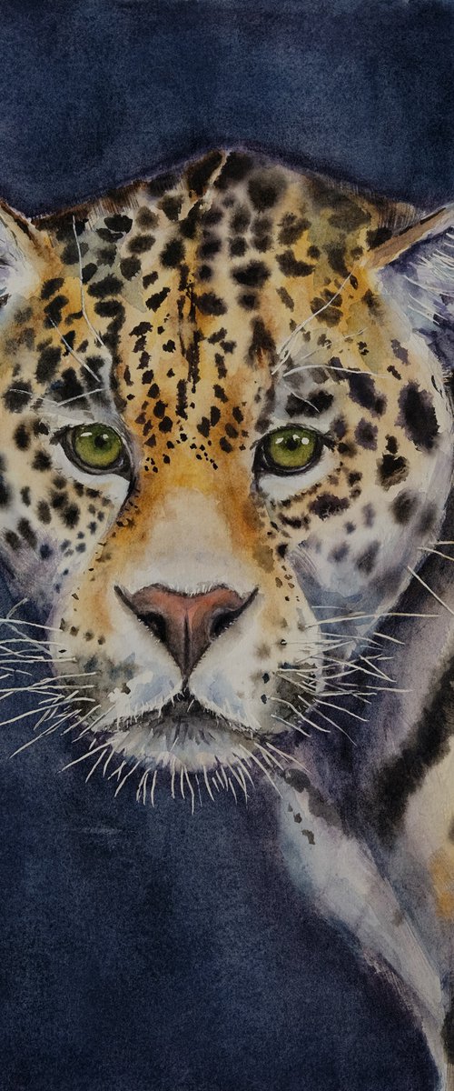 Jaguar by Ilona Borodulina