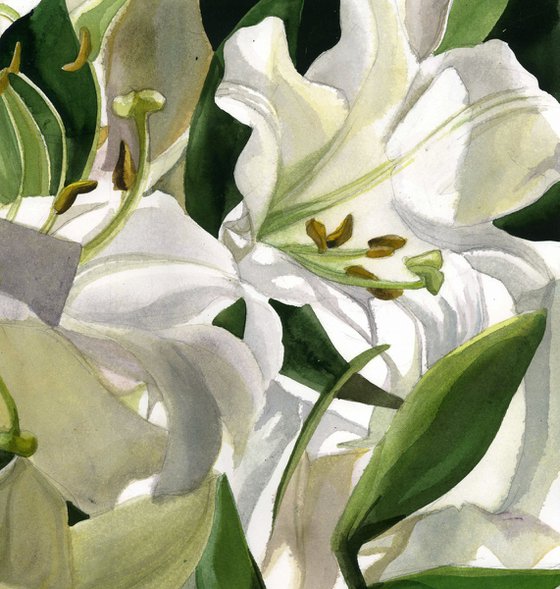 spring in white watercolor floral