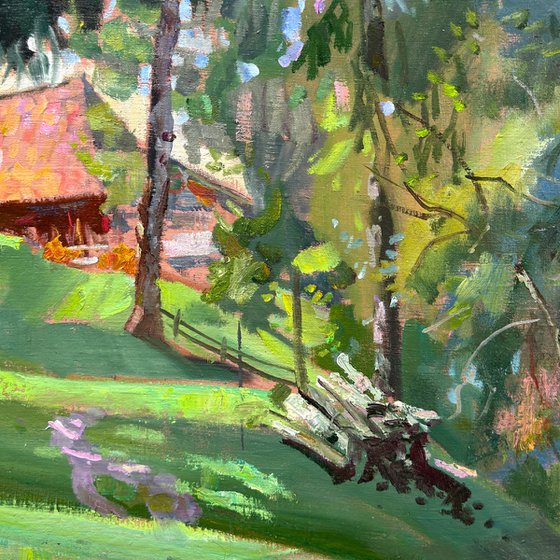 Summer Light Carpathian Hills