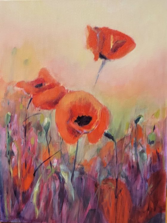 Red Poppies in purple heather
