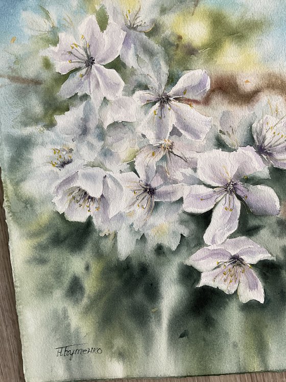 Cloudy spring
