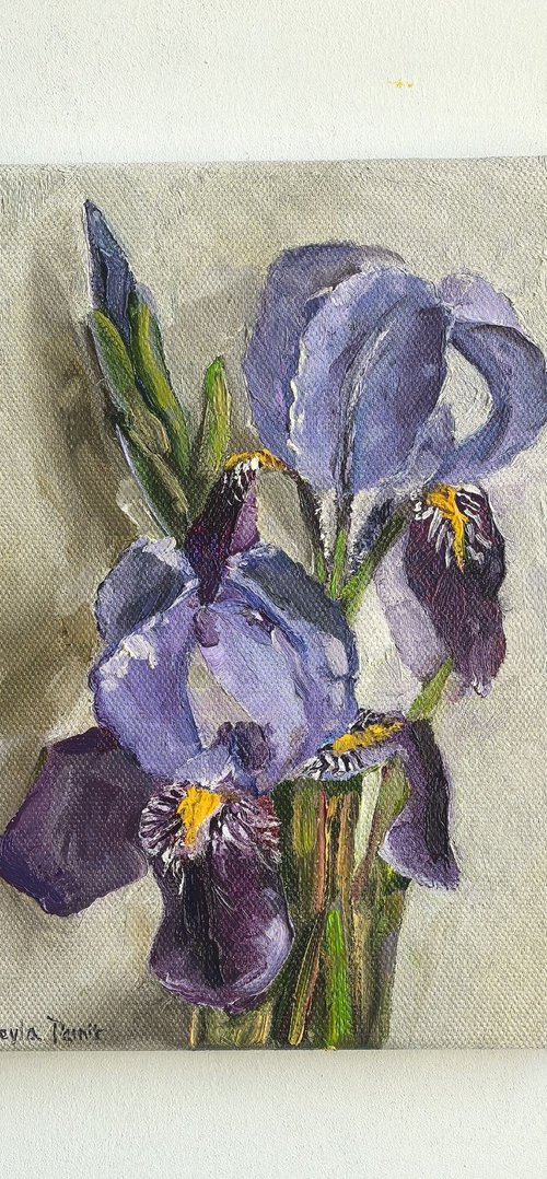 Purple irises by Leyla Demir