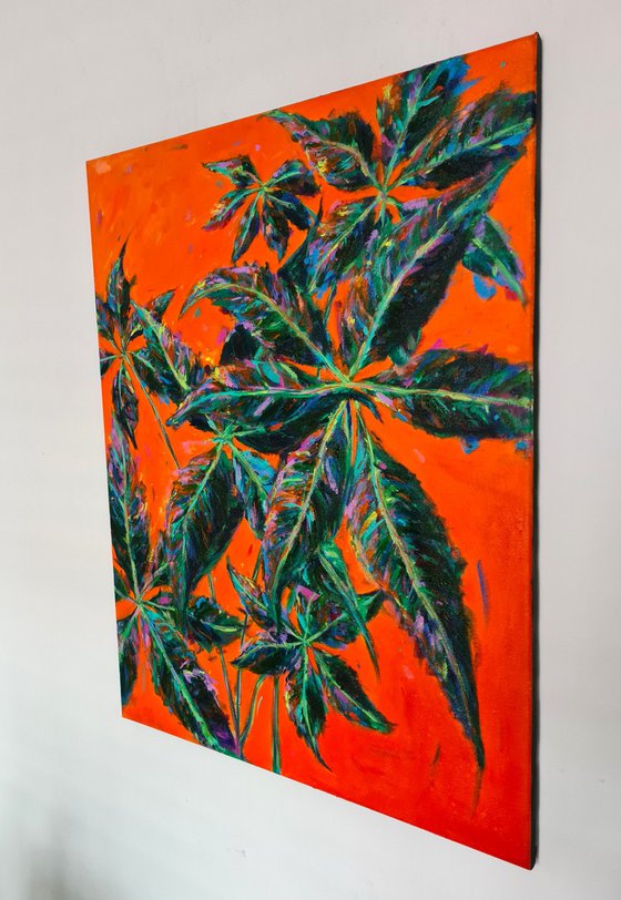 Money Tree