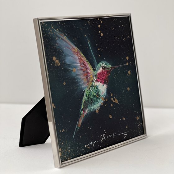 Fairy hummingbird