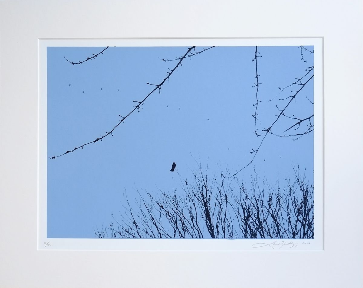 Animal Screenprint By Lene Bladbjerg, 20 X 16", Free As A Bird, Original Artwork
