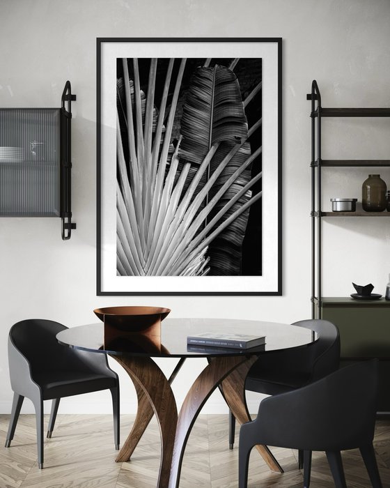 Radiant Frond