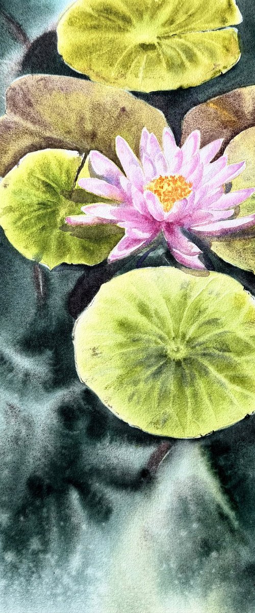 Whisper of the lotus by Natalia Butenko