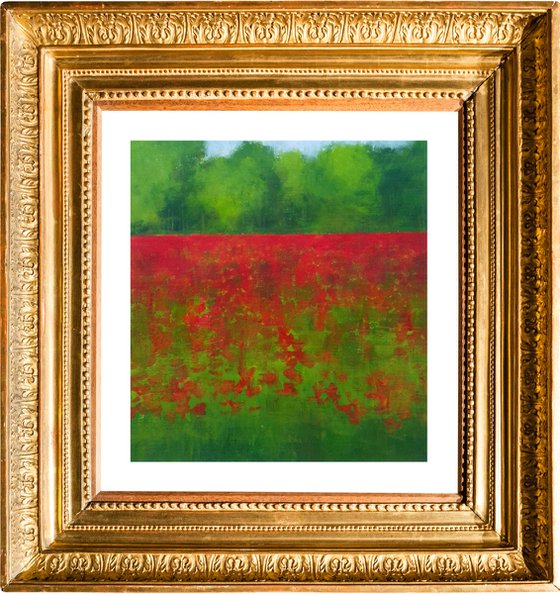 Field of Poppies IV