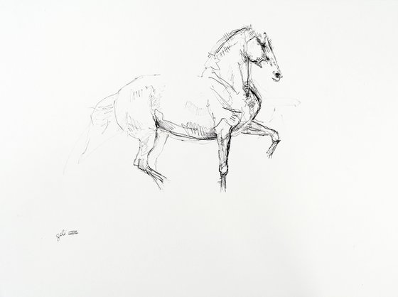 Equine Nude 30a