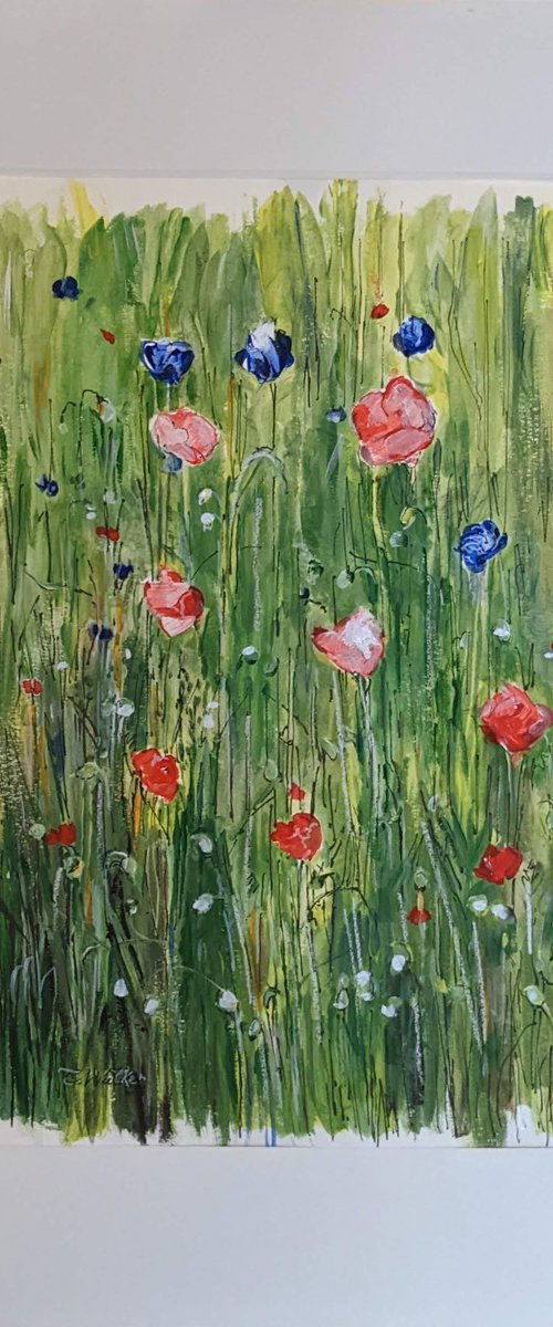 Meadow Flowers by Chris Walker