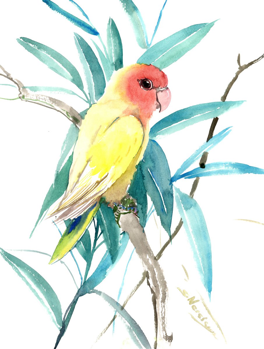 Yellow Lovebird by Suren Nersisyan