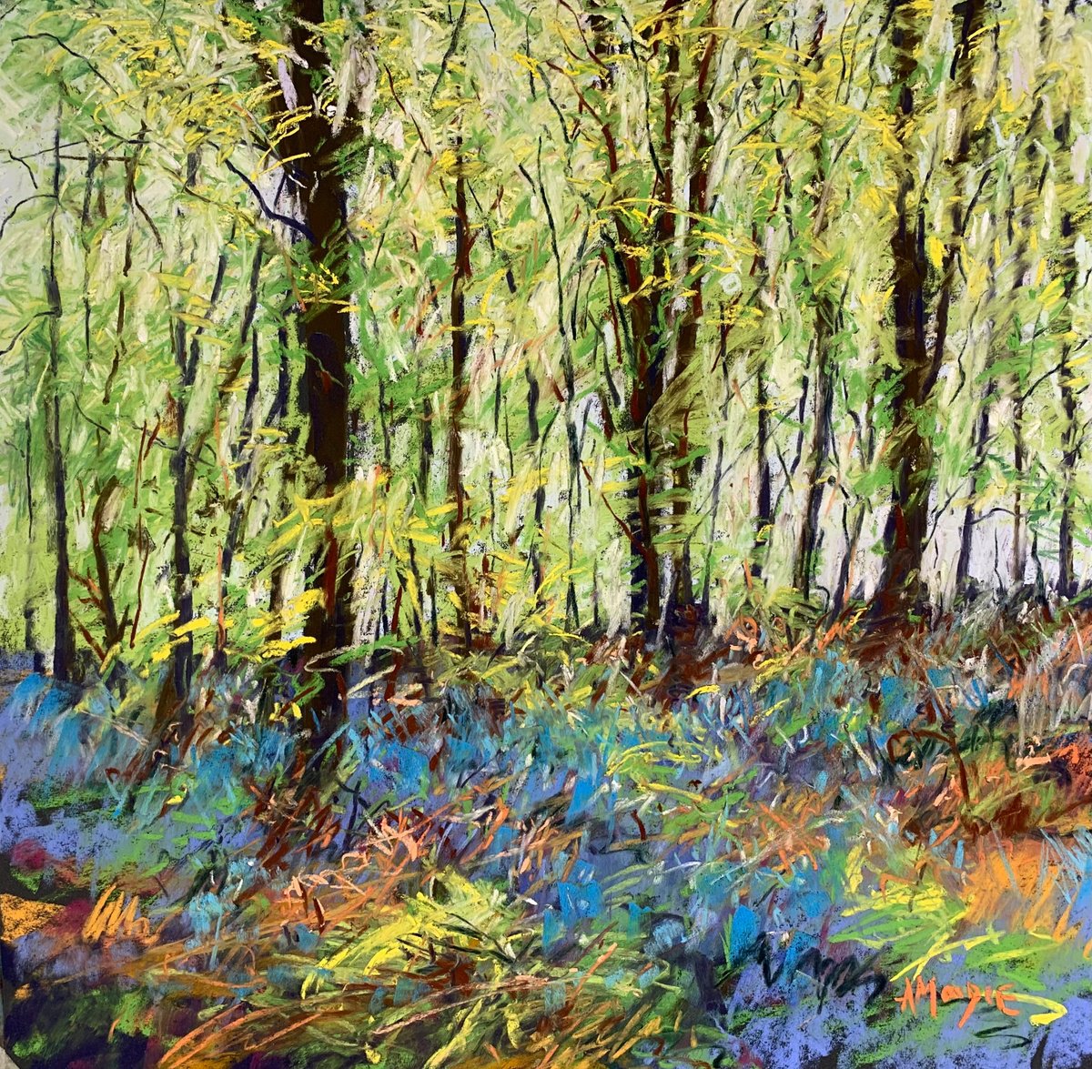 Impressionistic Pastel Drawing , Woodland Colour By Andrew Moodie, 16 X 16, Artwork For Sale On Artfinder