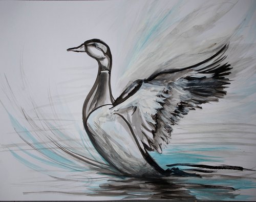 Courtship duck by René Goorman