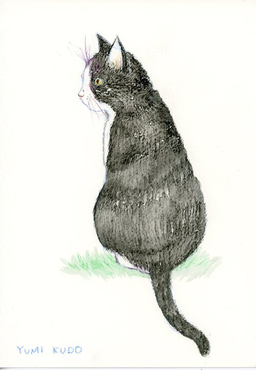 Cat in a garden by Yumi Kudo