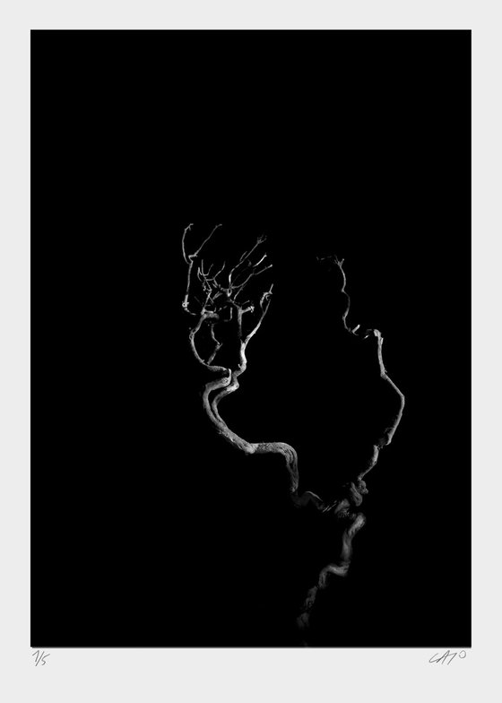 Untitled VI