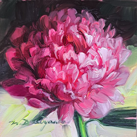 Peony flower