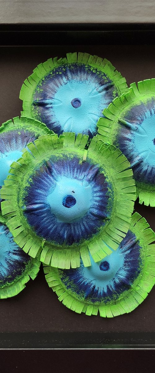 Zoanthids colony-1 by Swapna Namboodiri