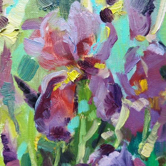 Miniature Iris Blooms
