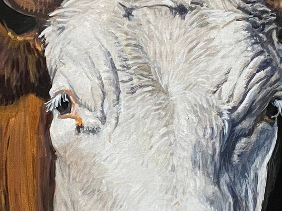 Cow Portrait