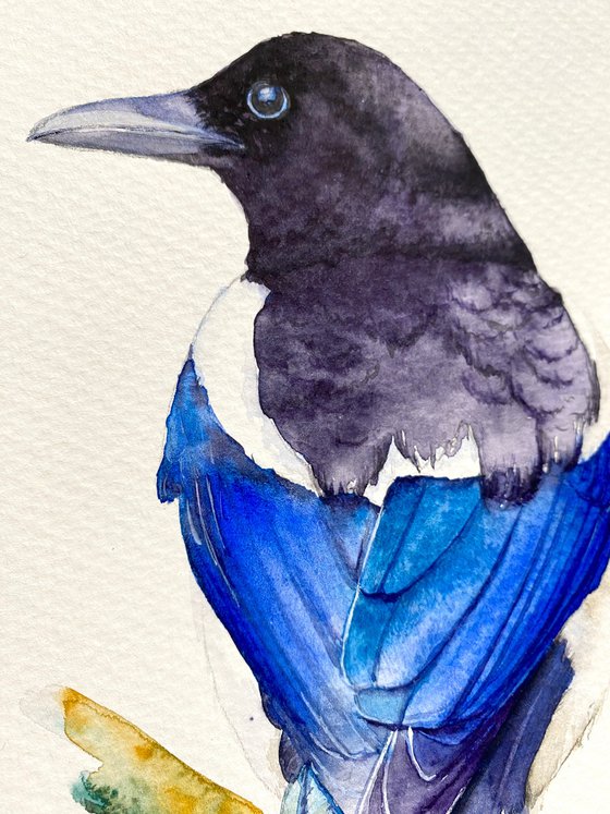 Watercolour bird magpie sitting on a branch in the rays of the sun
